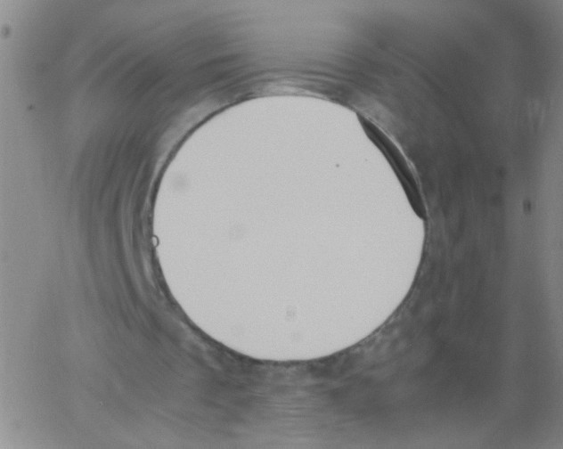 X0000062670289200601181907