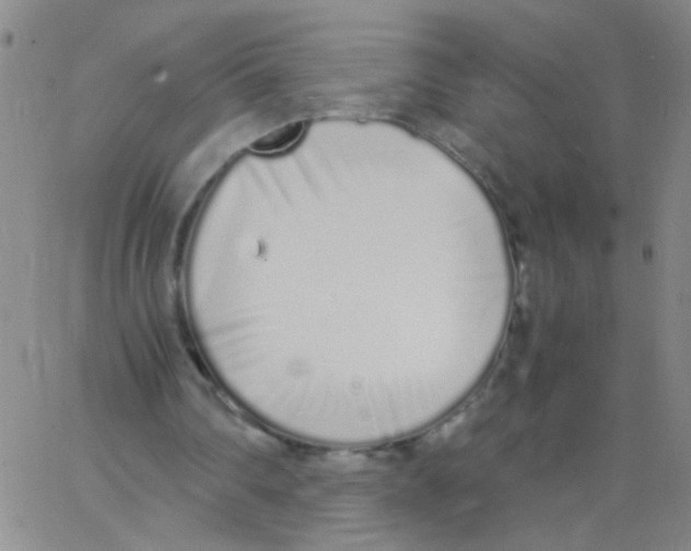 X0000062670290200601181907