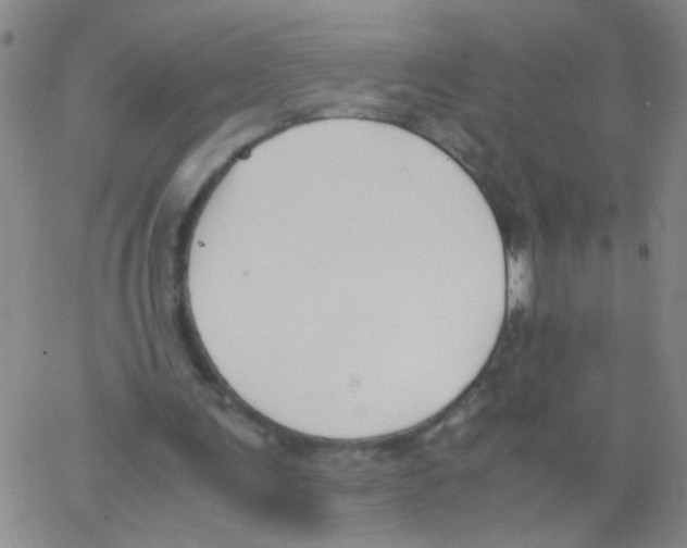 X0000062670291200601181907