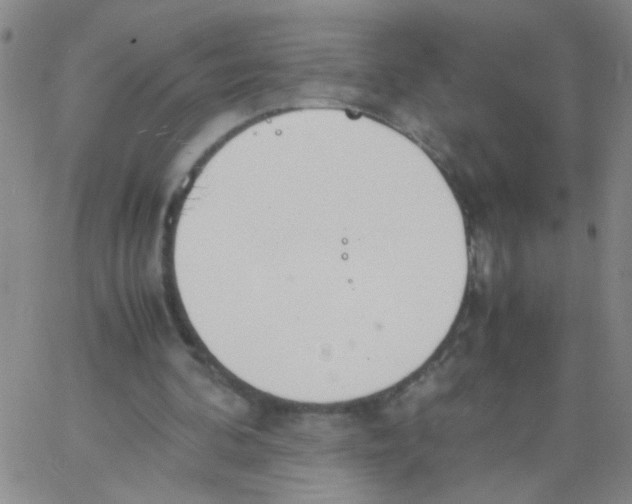 X0000062670292200601181907