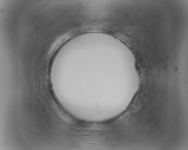 X0000062670293200601181907