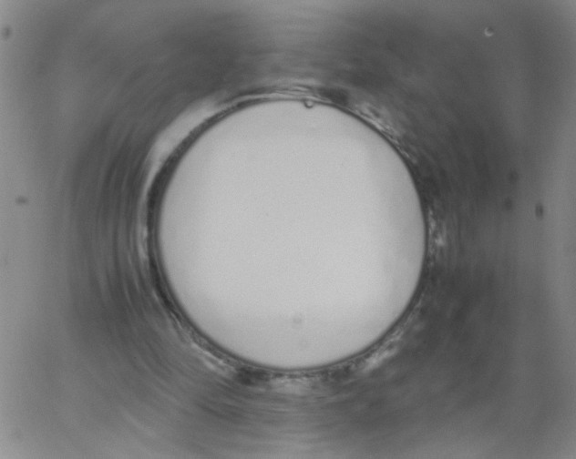 X0000062670294200601181907