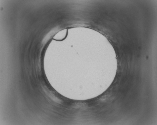 X0000062670296200601181907