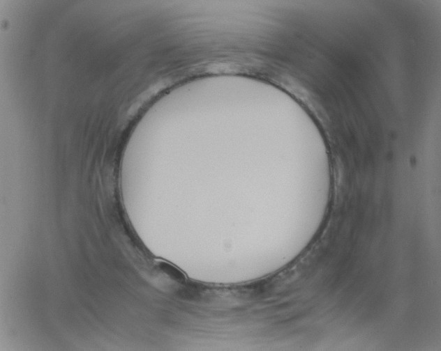 X0000062670297200601181907