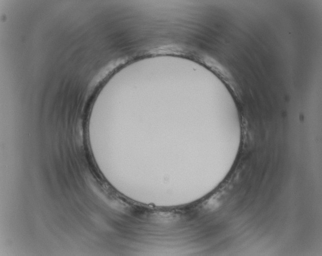 X0000062670298200601181907