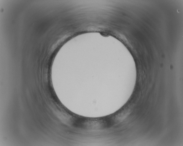 X0000062670299200601181907