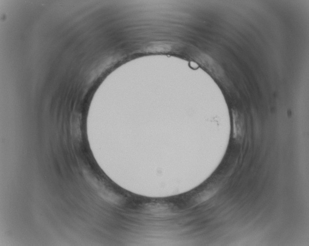 X0000062670300200601181907