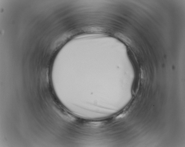 X0000062670302200601181907