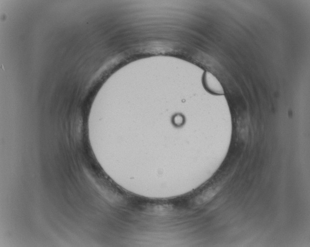 X0000062670304200601181907