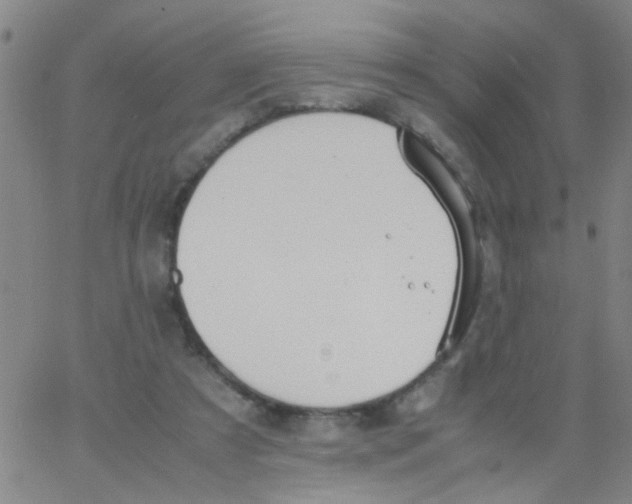 X0000062670305200601181907