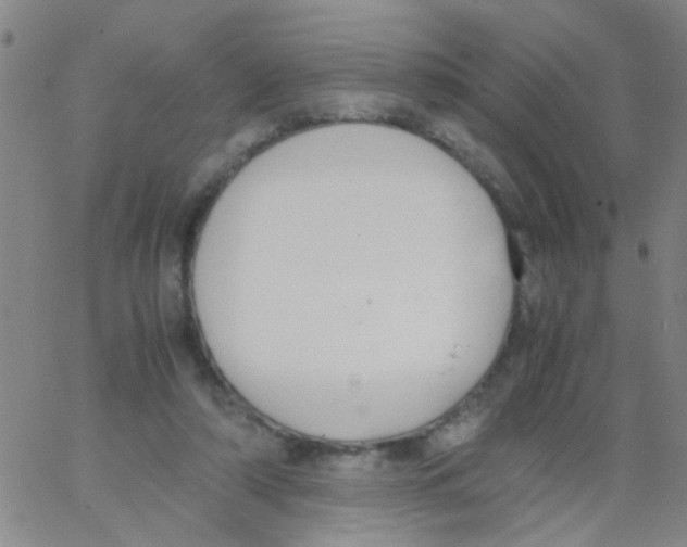 X0000062670306200601181907