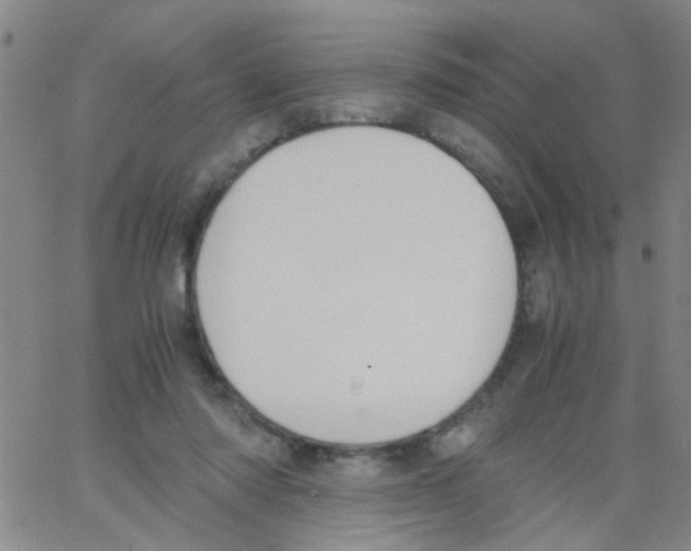 X0000062670310200601181907