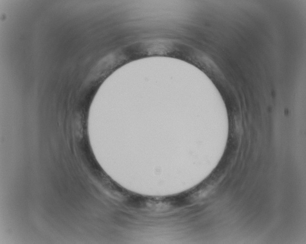 X0000062670311200601181907