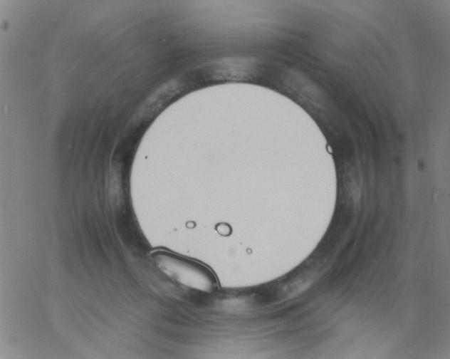 X0000062670312200601181907