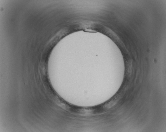 X0000062670313200601181907