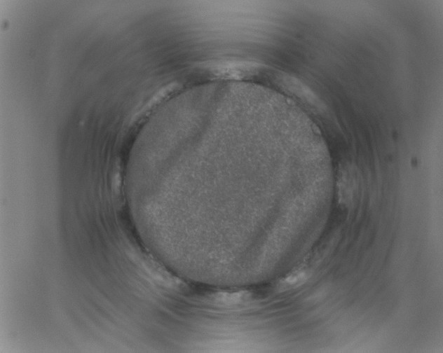 X0000062670314200601181907