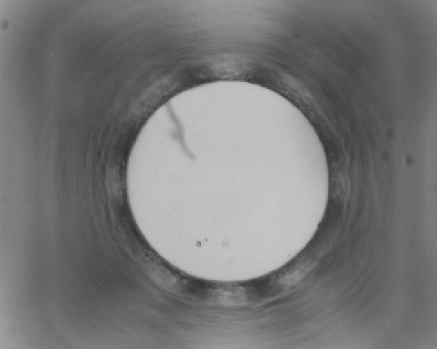 X0000062670317200601181907