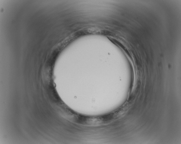 X0000062670319200601181907