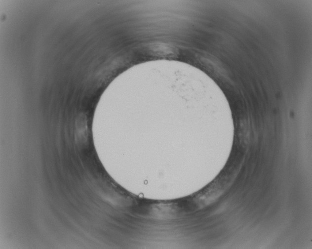 X0000062670320200601181907