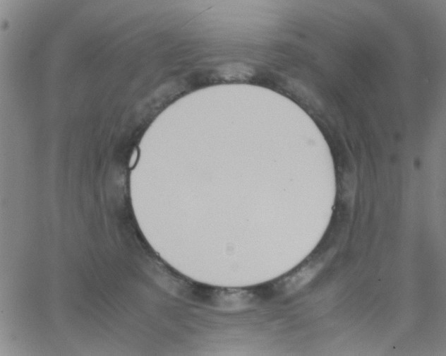 X0000062670321200601181907