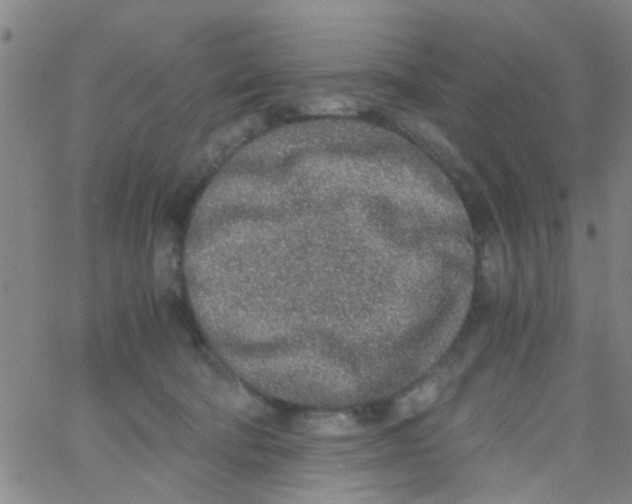 X0000062670322200601181907