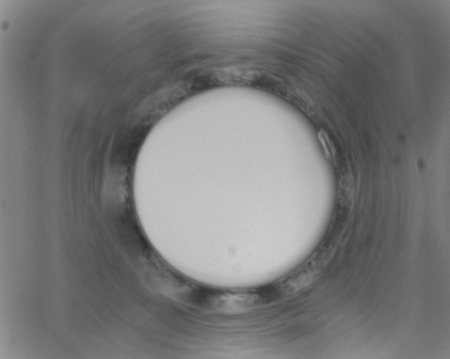 X0000062670323200601181907