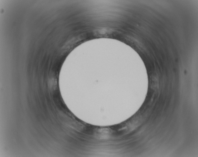 X0000062670324200601181907