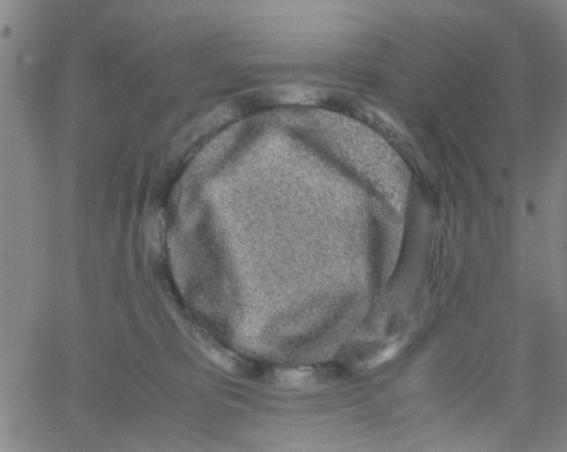 X0000062670325200601181907