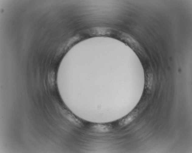 X0000062670326200601181907