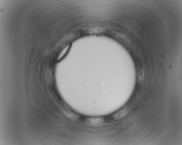 X0000062670327200601181907