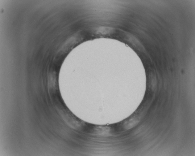 X0000062670328200601181907