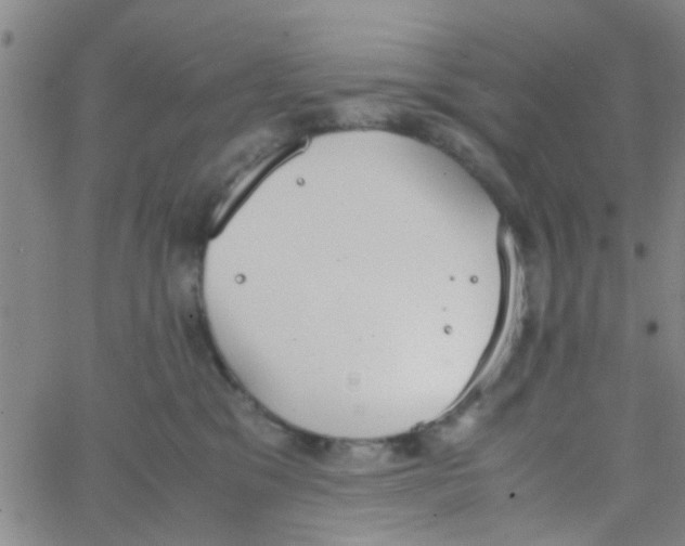 X0000062670329200601181907