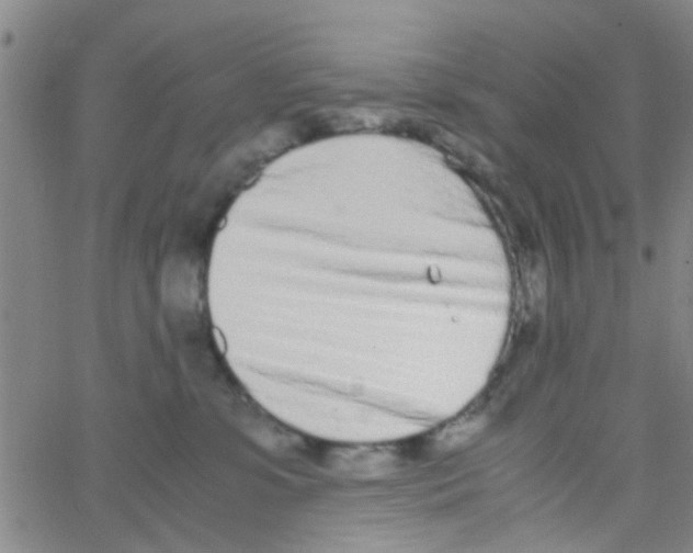 X0000062670331200601181907