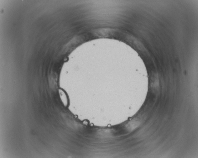 X0000062670332200601181907