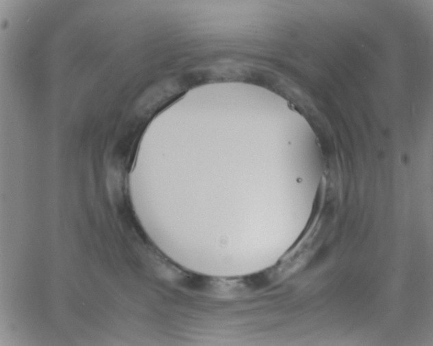 X0000062670333200601181907