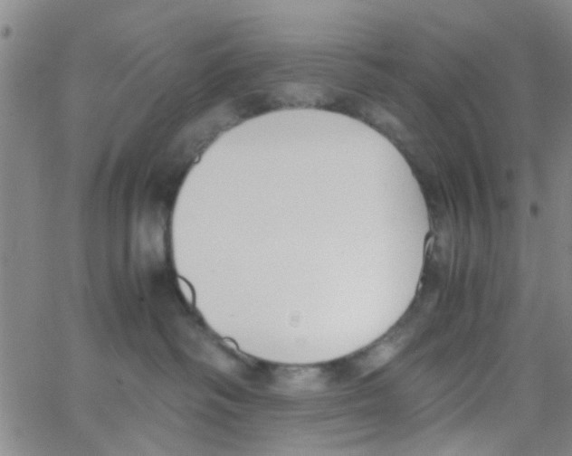 X0000062670334200601181907