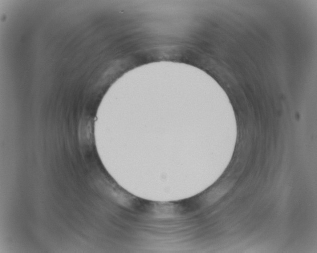 X0000062670336200601181906