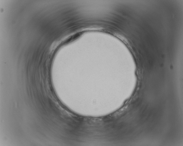 X0000062670337200601181906