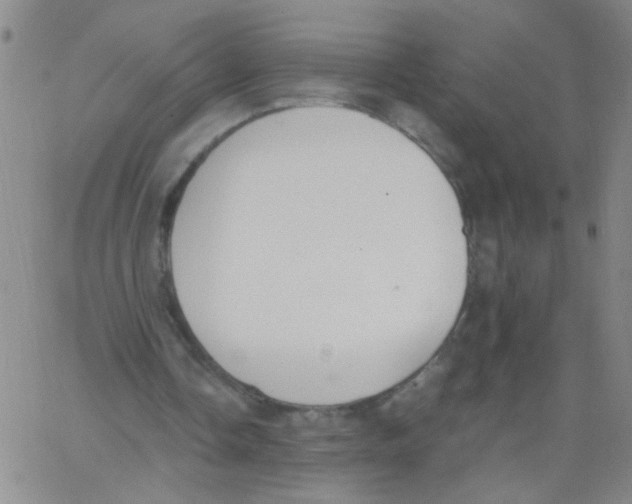 X0000062670338200601181906