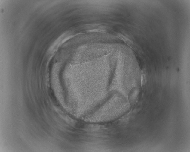 X0000062670339200601181906