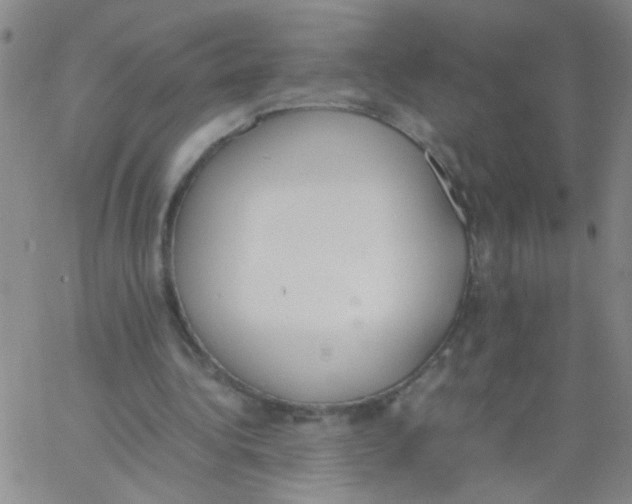 X0000062670340200601181906