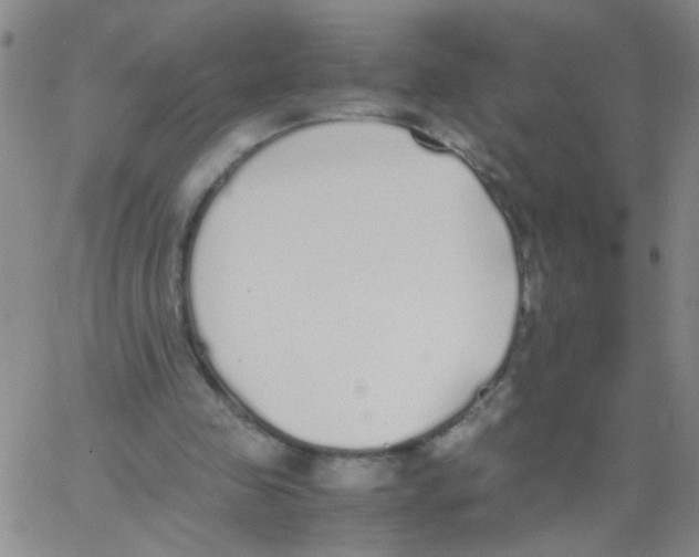 X0000062670341200601181906