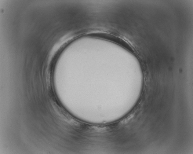 X0000062670343200601181906