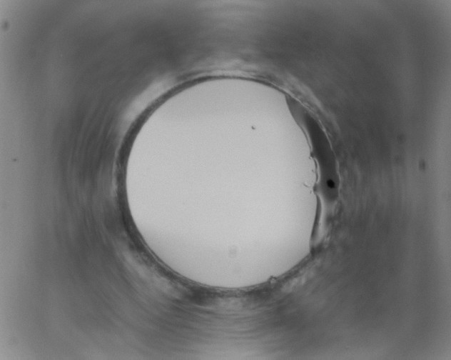 X0000062670344200601181906