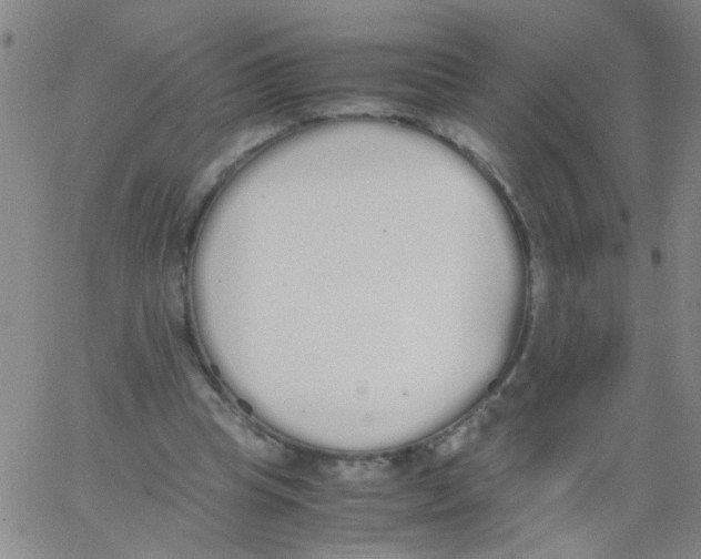 X0000062670345200601181906