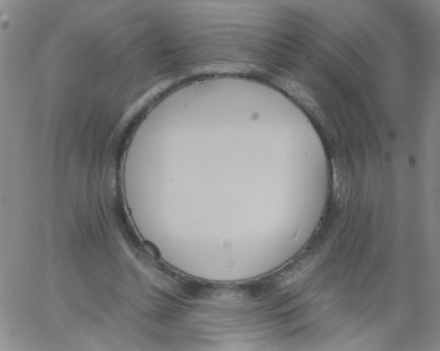 X0000062670348200601181906