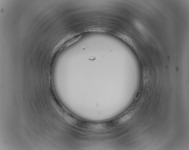 X0000062670349200601181906