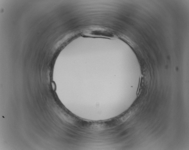 X0000062670350200601181906