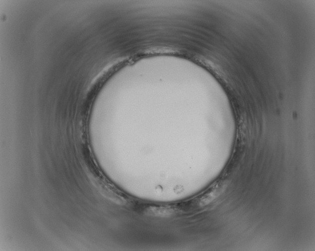 X0000062670351200601181906