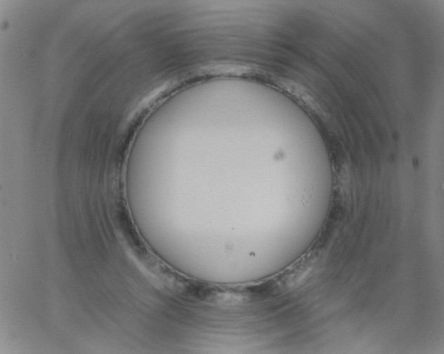 X0000062670352200601181906